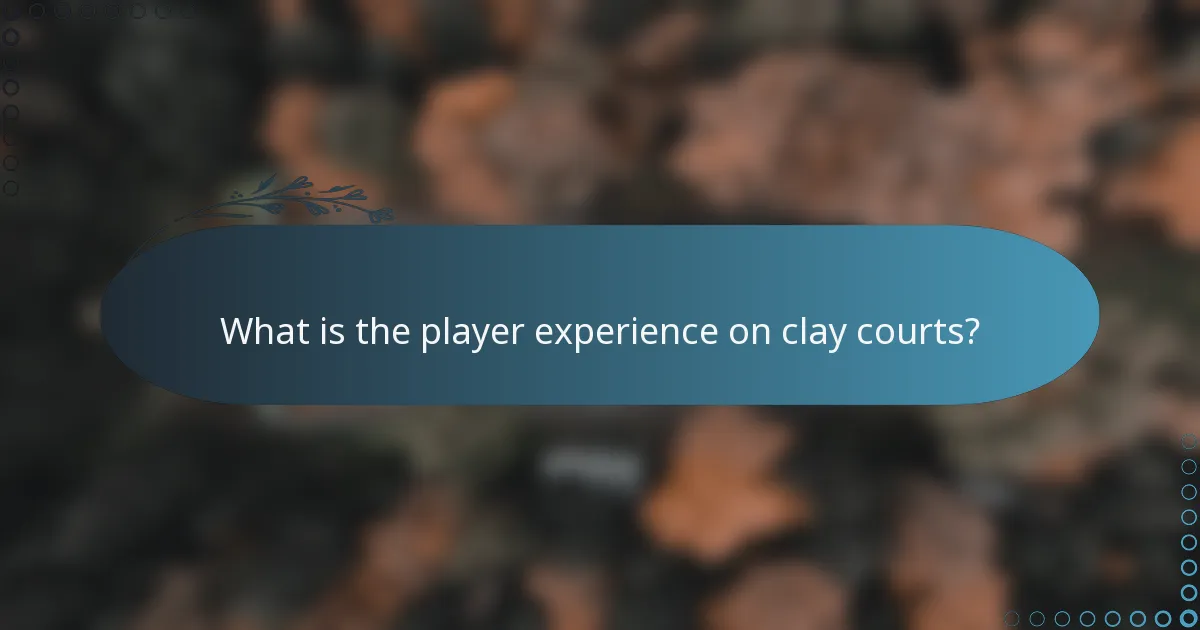 What is the player experience on clay courts?